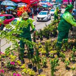 Cuernavaca fortalece la imagen urbana en la glorieta de los Caballitos y el camellón del Vergel