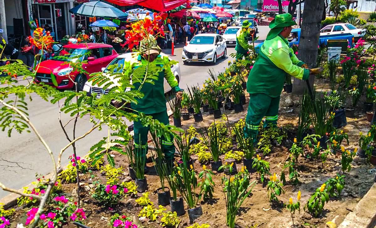 Cuernavaca fortalece la imagen urbana en la glorieta de los Caballitos y el camellón del Vergel