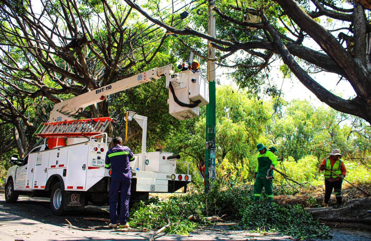 Cuernavaca realiza mantenimiento integral en avenida Vicente Guerrero para mejorar movilidad y seguridad