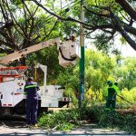 Cuernavaca realiza mantenimiento integral en avenida Vicente Guerrero para mejorar movilidad y seguridad