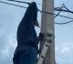 SEPRAC fortalece la vigilancia en Las Granjas con la instalación de cuatro cámaras enlazadas al C4