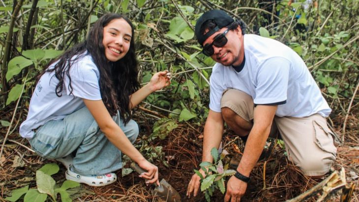 Ayuntamiento de Cuernavaca siembra mil 250 árboles nativos en el bosque de Ocotepec para proteger el acuífero