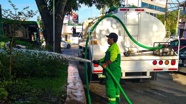 Ayuntamiento de Cuernavaca mantiene acciones para la conservación de áreas verdes durante la temporada de calor