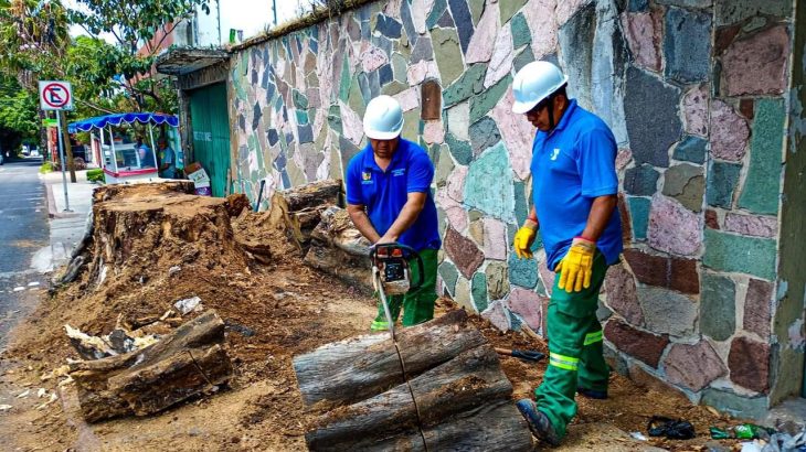 Servicios Públicos retira restos de material vegetal y extrae un tocón con maquinaria en la colonia Miraval