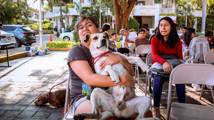 José Luis Urióstegui encabeza nueva jornada gratuita de esterilización de perros y gatos en sede Papagayo
